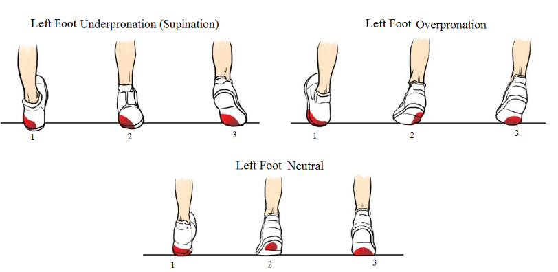 pronation and supination of foot